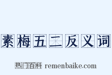 素梅五二反义词是什么意思的图片